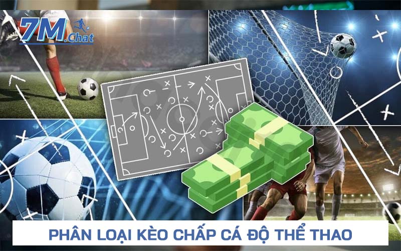 Phân loại và cách đọc kèo chấp cá độ